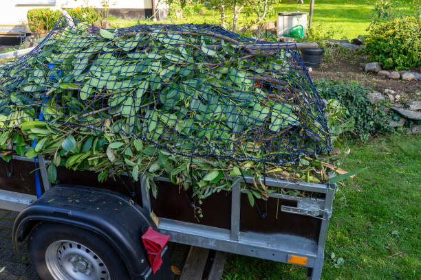 Best Yard Waste Removal  in Luverne, MN